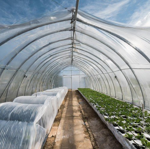 Proteja sus cultivos con plástico para invernadero de calidad