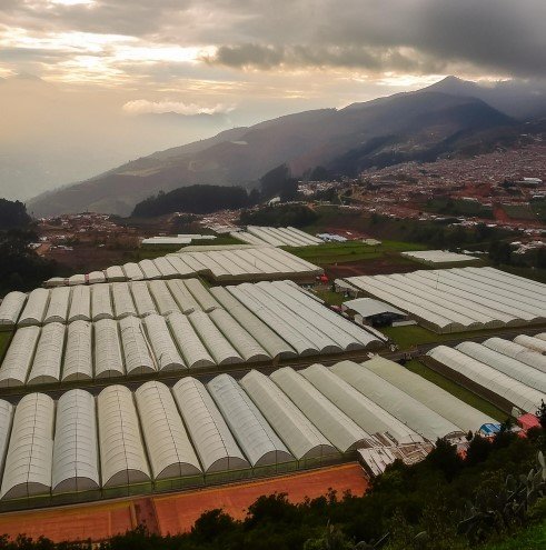 Somos una Fábrica de Plástico para Invernaderos en Bogotá